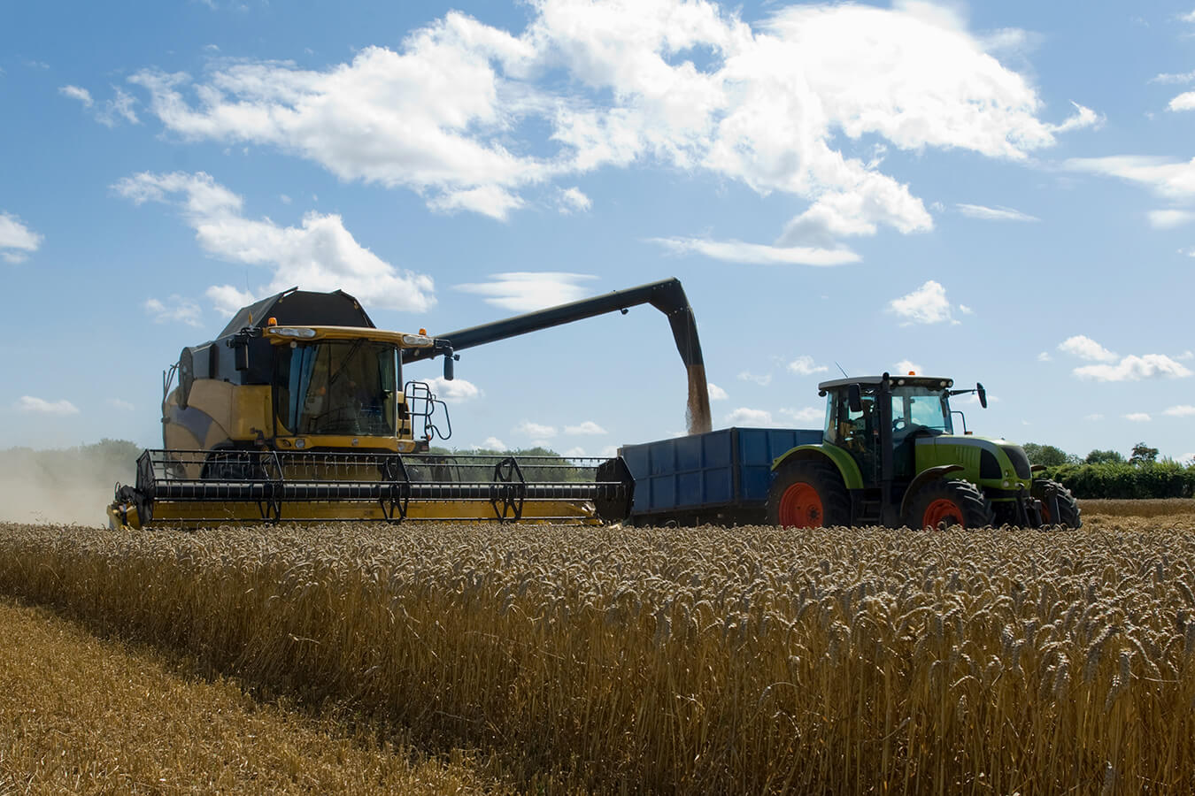 Agriculture