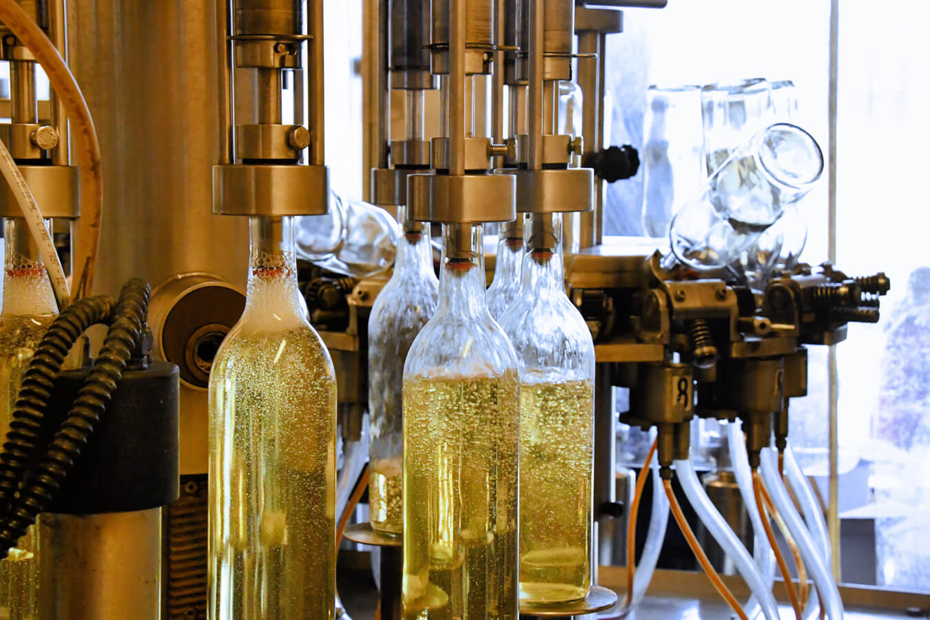 Wine Making